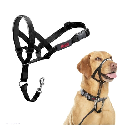 Company Of Animals Halti Headcollar Zwart - nr 3