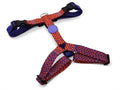 Morso Hondentuig H-Tuig Gerecycled Urban Lizard Rood - 60-80x2.5 cm