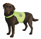 Winterset hond